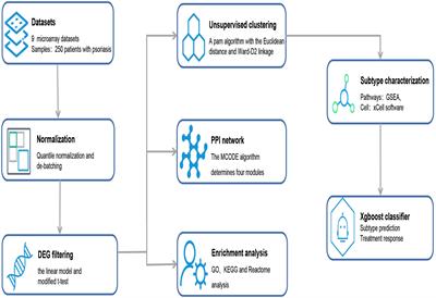 Deep analysis of skin molecular heterogeneities and their significance on the precise treatment of patients with psoriasis